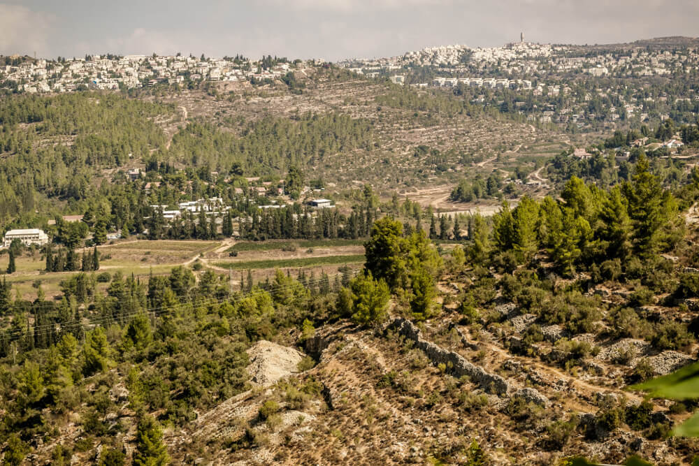 רכס לבן