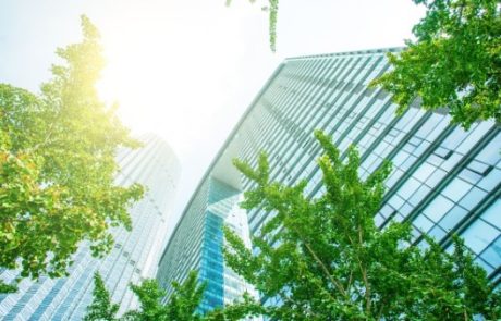 איך לבחור מתווכים מומלצים בחיפה?